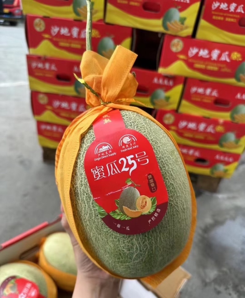 【实力供货】北海哈密瓜脆甜多汁，大量对接商超、市场、电商