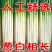 忻州铁杆大葱，叶短葱白长，自种一手货源，量大价优全国发货