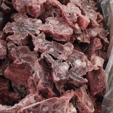 多肉羊蝎子