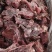 多肉羊蝎子
