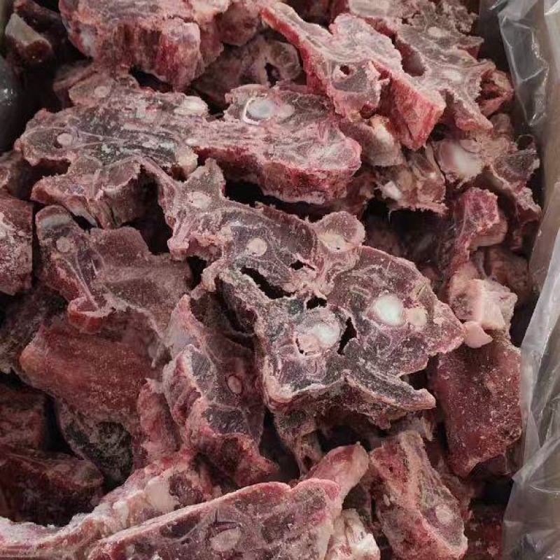 多肉羊蝎子
