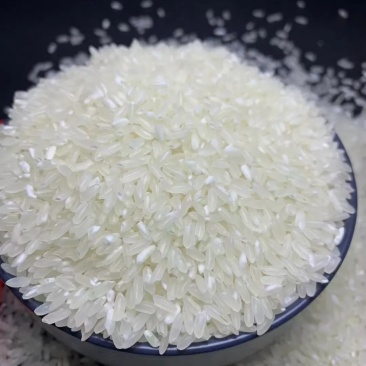 东北五常稻花香大米