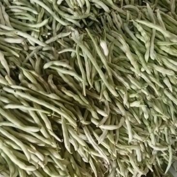 白条豆角，新鲜采摘，一手货源