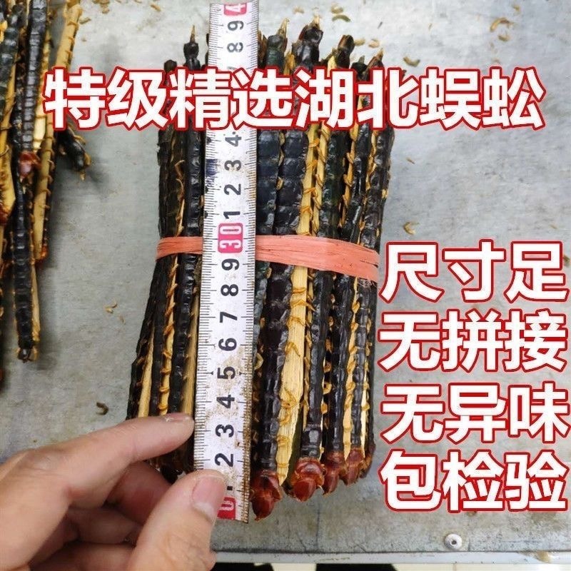 蜈蚣中药材湖北红头大蜈蚣正品保证批发零售