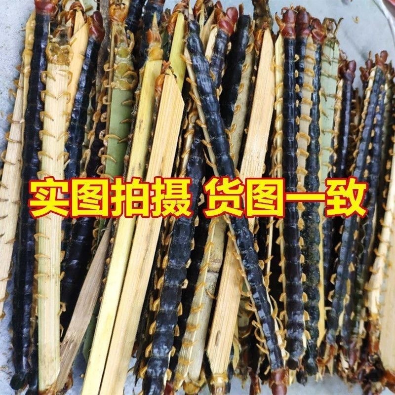 蜈蚣中药材湖北红头大蜈蚣正品保证批发零售