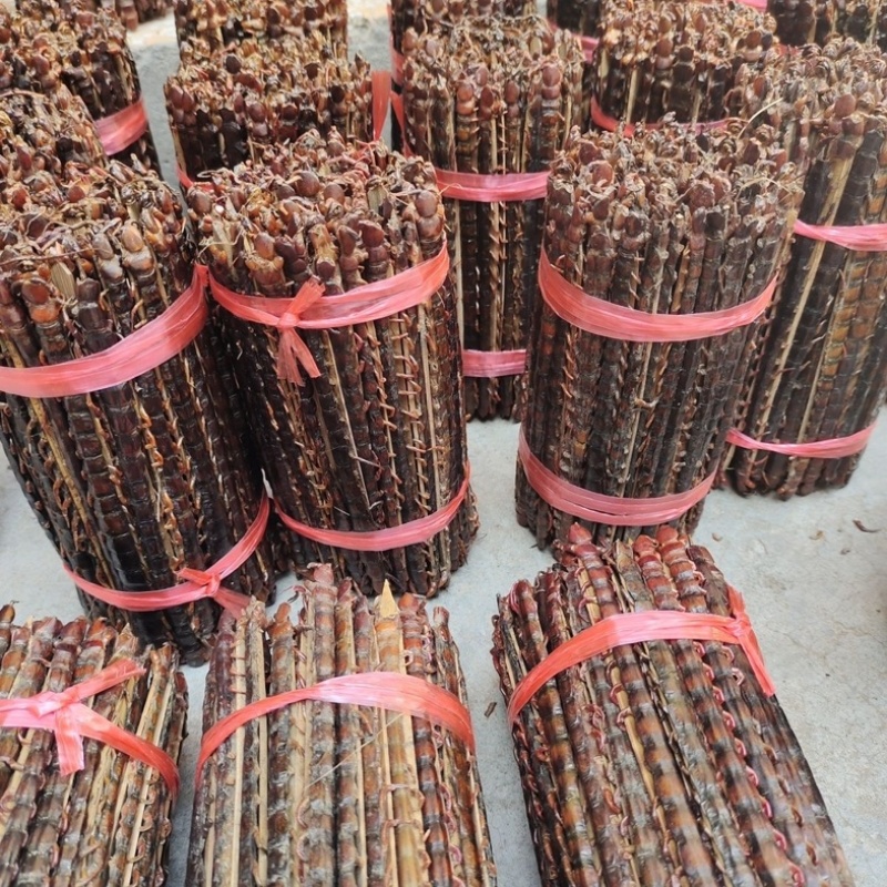 蜈蚣中药材湖北红头大蜈蚣正品保证批发零售