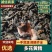 九蒸九晒黄精大量上市，产地直发，品质保证，服务周到