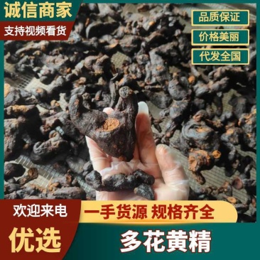 九蒸九晒黄精大量上市，产地直发，品质保证，服务周到