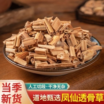 透骨草凤仙透骨草新货无杂质正品透骨草批发零售