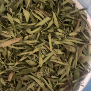 甜叶菊大量供应，喜欢的老板可以联系
