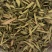 甜叶菊大量供应，喜欢的老板可以联系