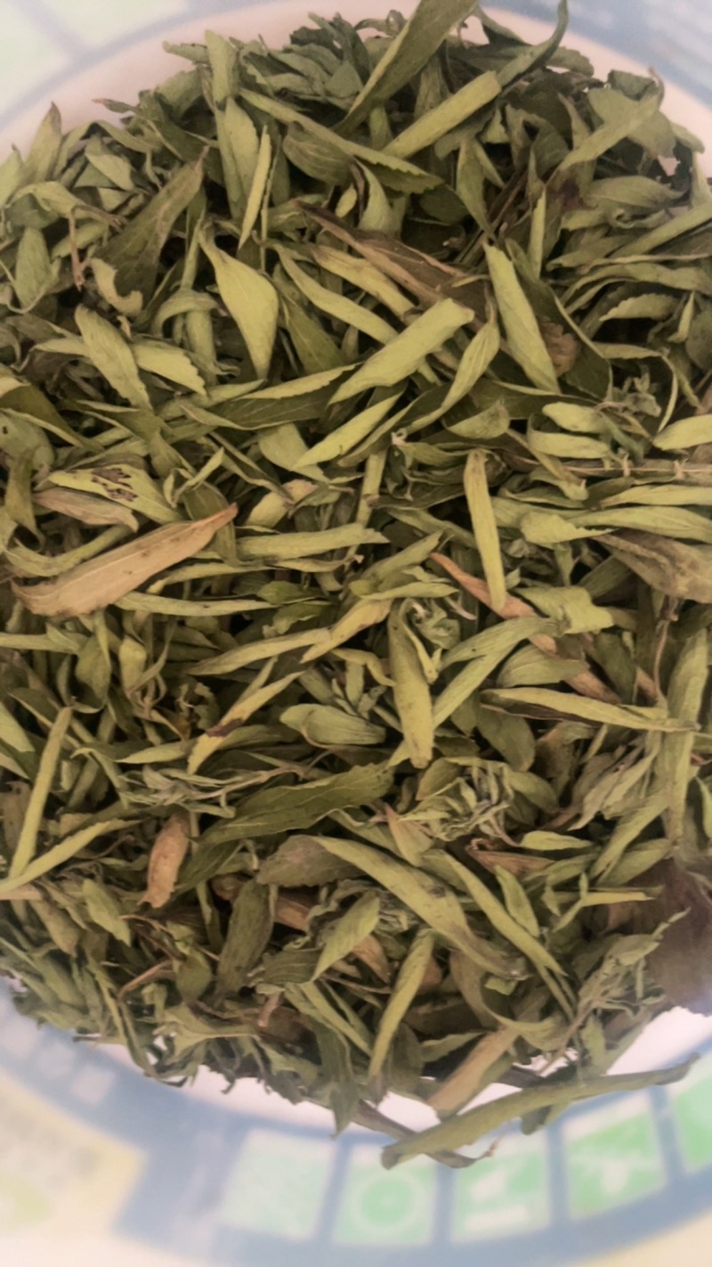 甜叶菊大量供应，喜欢的老板可以联系