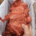 五香猪龟腱酱香龟腱鲜品发货猪龟腱熟食工厂直销全国发货