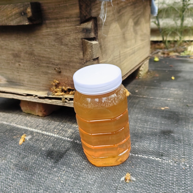 云南蜂蜜百花蜜一瓶2斤装包邮一件代发