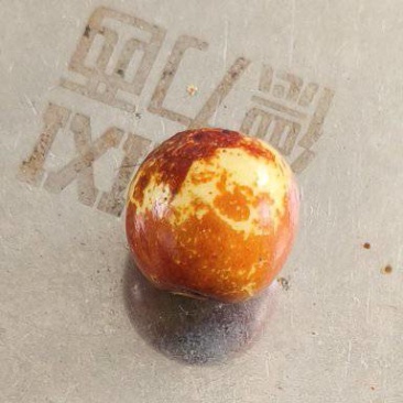 果用酸枣酸枣鼠李科多年生灌木果皮富含丰富斯皮诺素