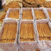 正宗甘肃岷县水洗黄当归货源稳定质量保证原产地直发