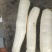广西钦州木薯量大从优价格美丽质量好走货快欢迎询价正在热卖