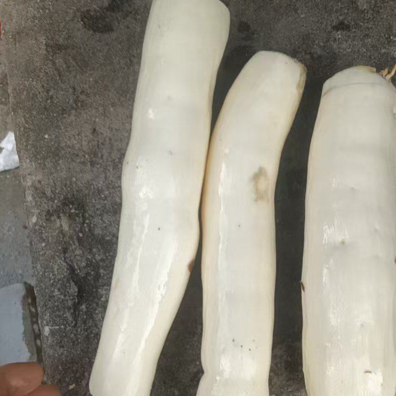 广西钦州木薯量大从优价格美丽质量好走货快欢迎询价正在热卖