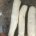广西一手货源木薯量大从优价格美丽质量好走货快欢迎询价