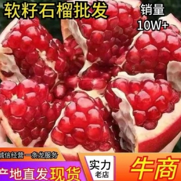 突尼斯软籽石榴，河南荥阳产地直发，对接全国商超电商老板