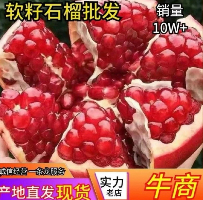 突尼斯软籽石榴，河南荥阳产地直发，对接全国商超电商老板