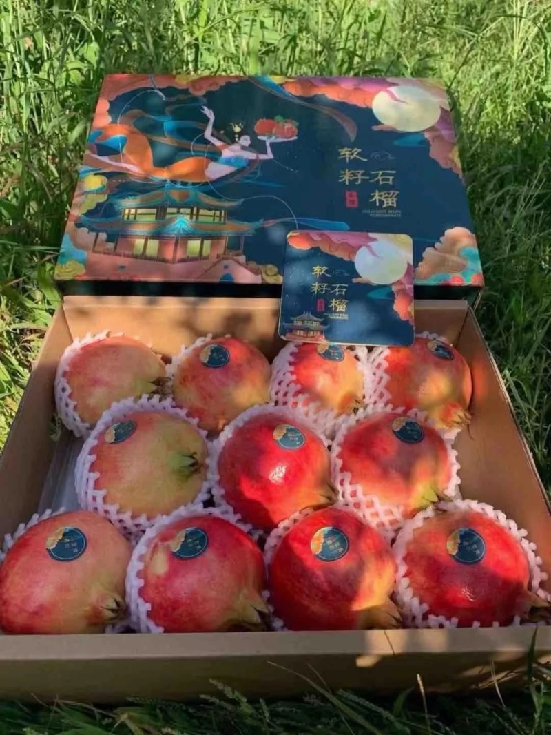 突尼斯软籽石榴，河南荥阳产地直发，对接全国商超电商老板