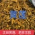 黄连中药材正宗川黄连新货无硫批发零售正品保证