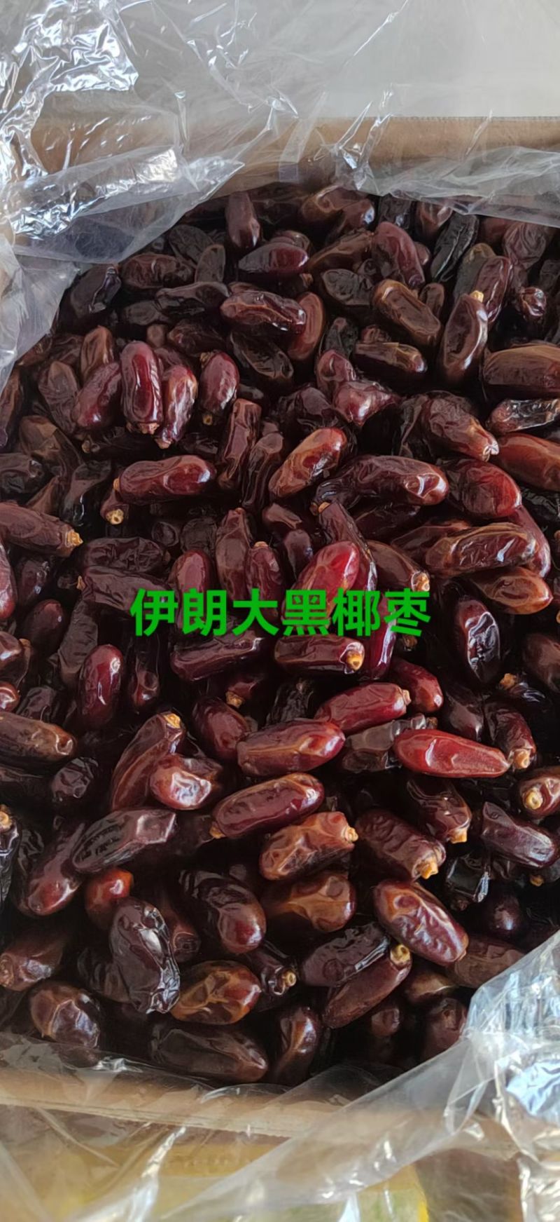 黑椰枣