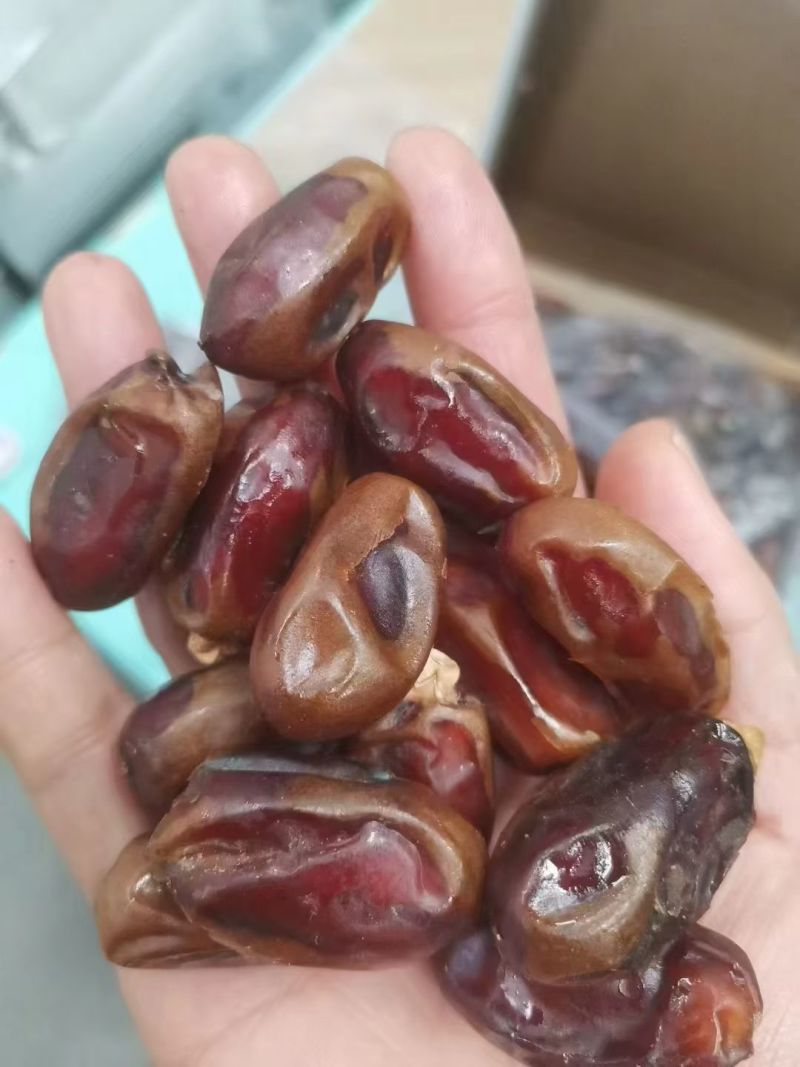 黑椰枣