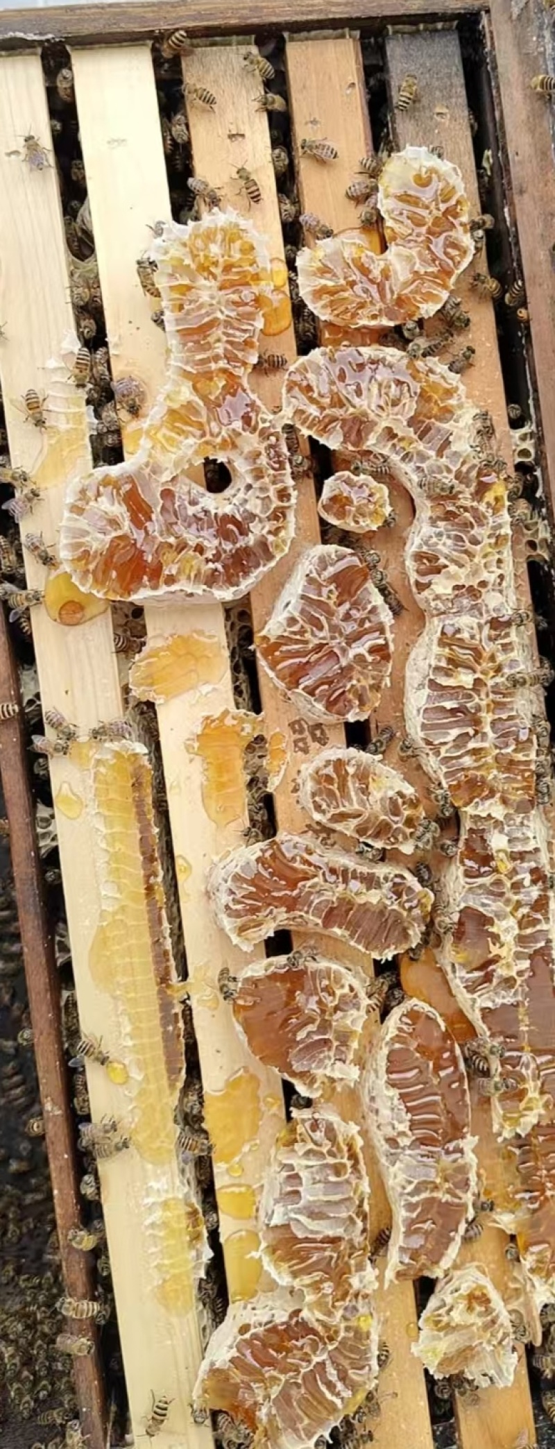 蜂蜜
