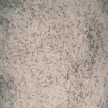 自产冷泉灌溉的稻香米精品货源品质保证欢迎来电