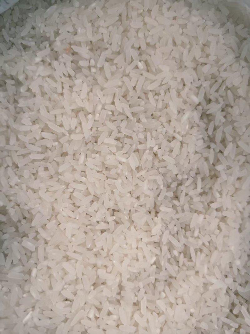 自产冷泉灌溉的稻香米精品货源品质保证欢迎来电