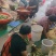 产地直销薜荔籽，凉粉籽，爱玉籽，木莲籽，***凝固剂