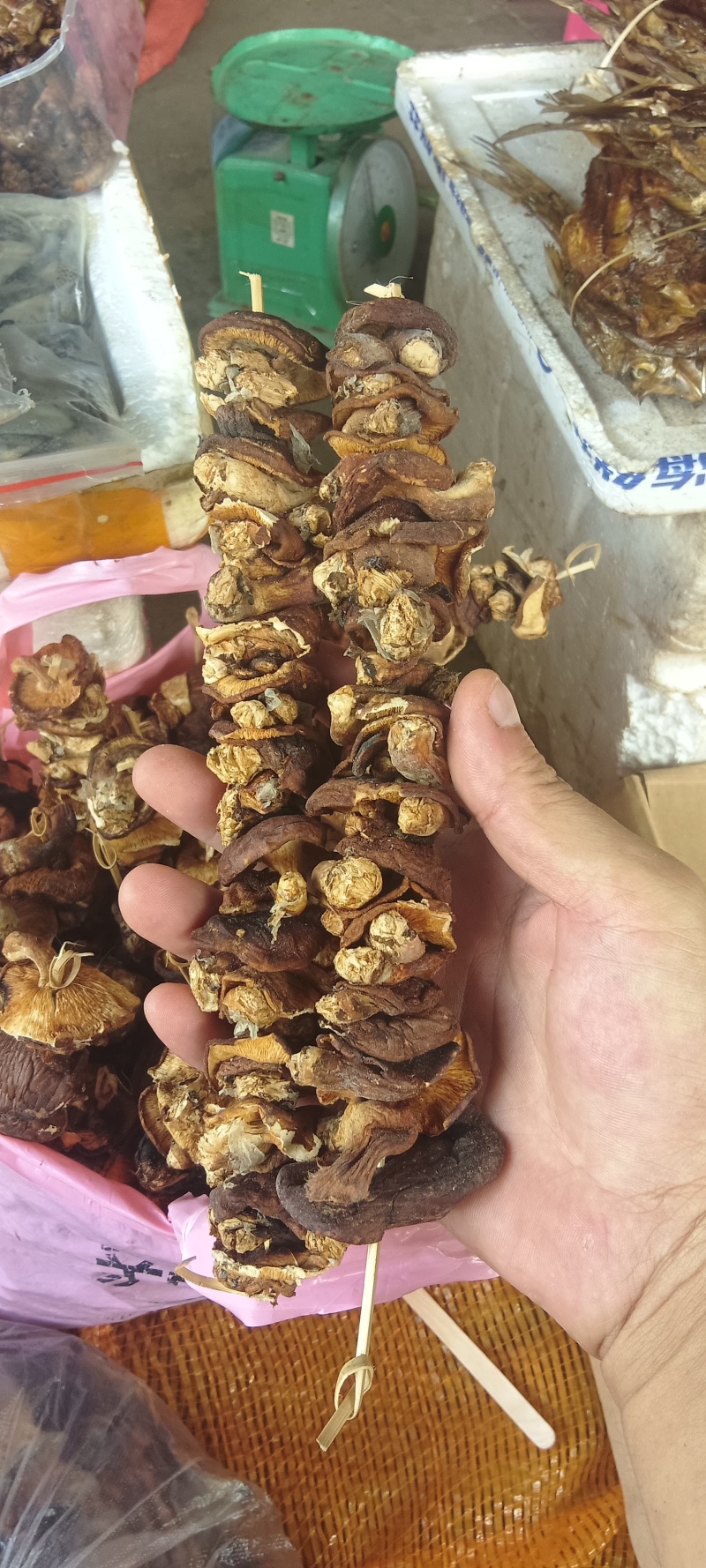 干菇菌干菇菌山区货品