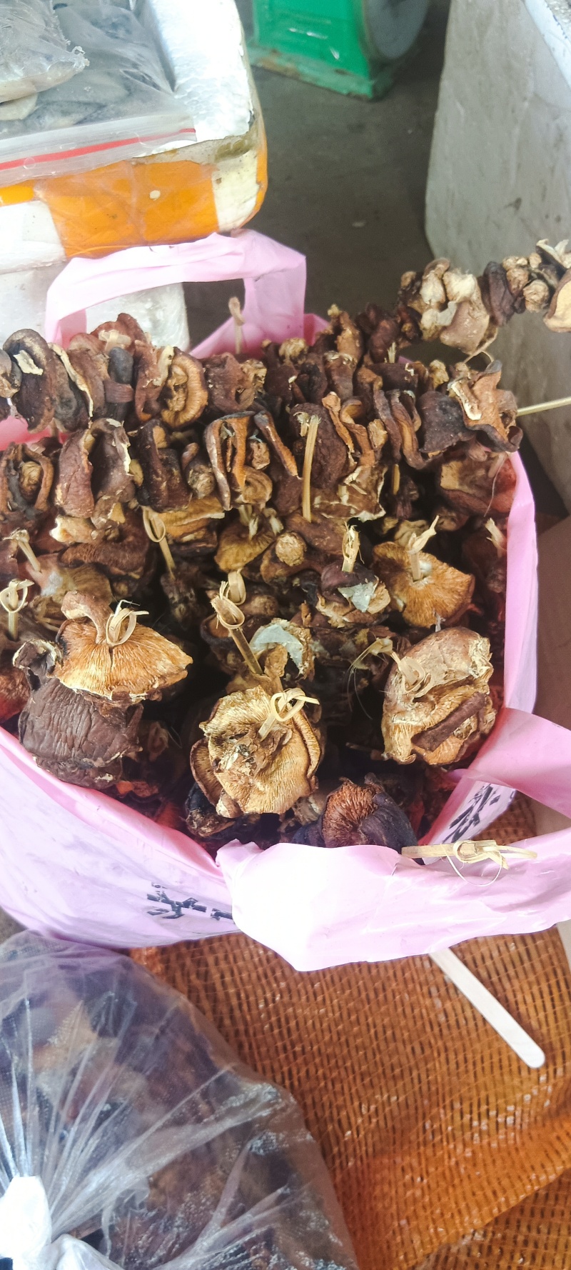 干菇菌干菇菌山区货品