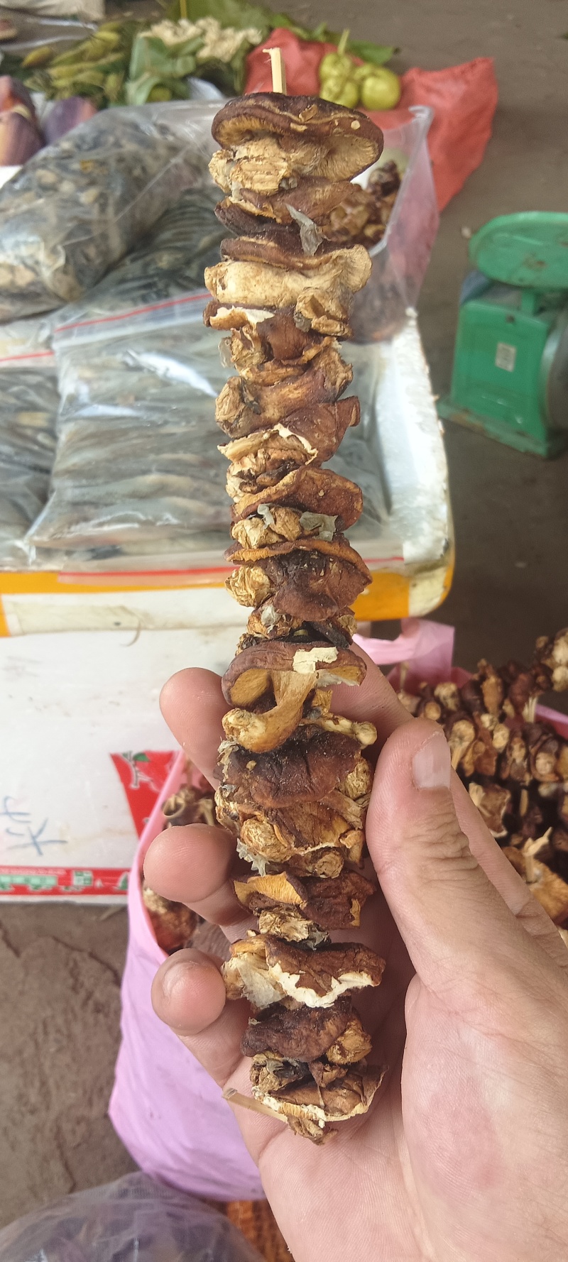 干菇菌干菇菌山区货品