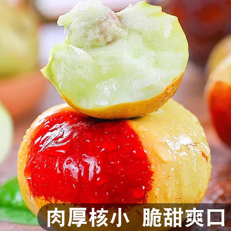 【实力】河南精品蟠枣孕妇小孩都可以吃应季美味水果酥脆