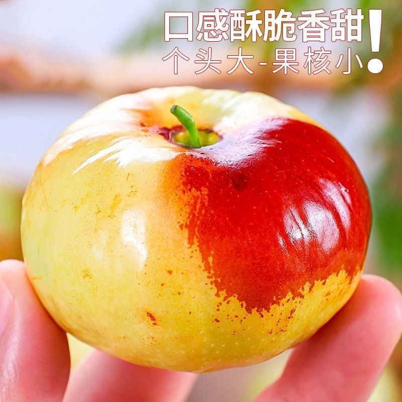 【实力】河南精品蟠枣孕妇小孩都可以吃应季美味水果酥脆