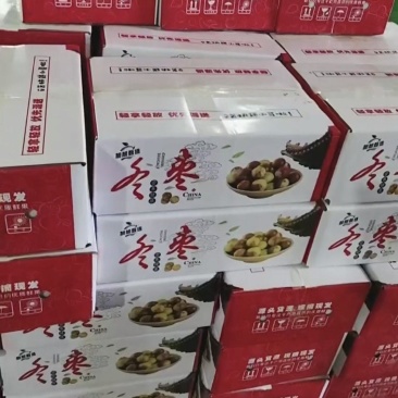 新鲜冬枣，现摘现发，支持各电商平台一件代发