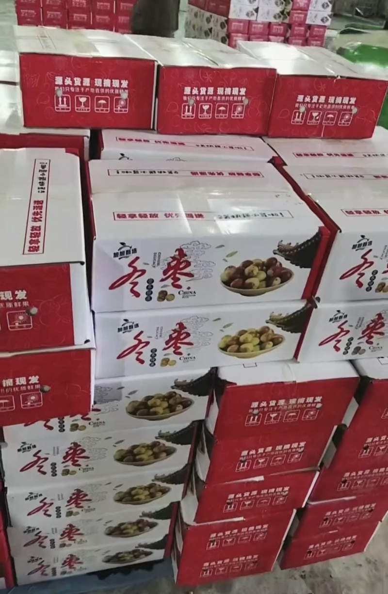 新鲜冬枣，现摘现发，支持各电商平台一件代发