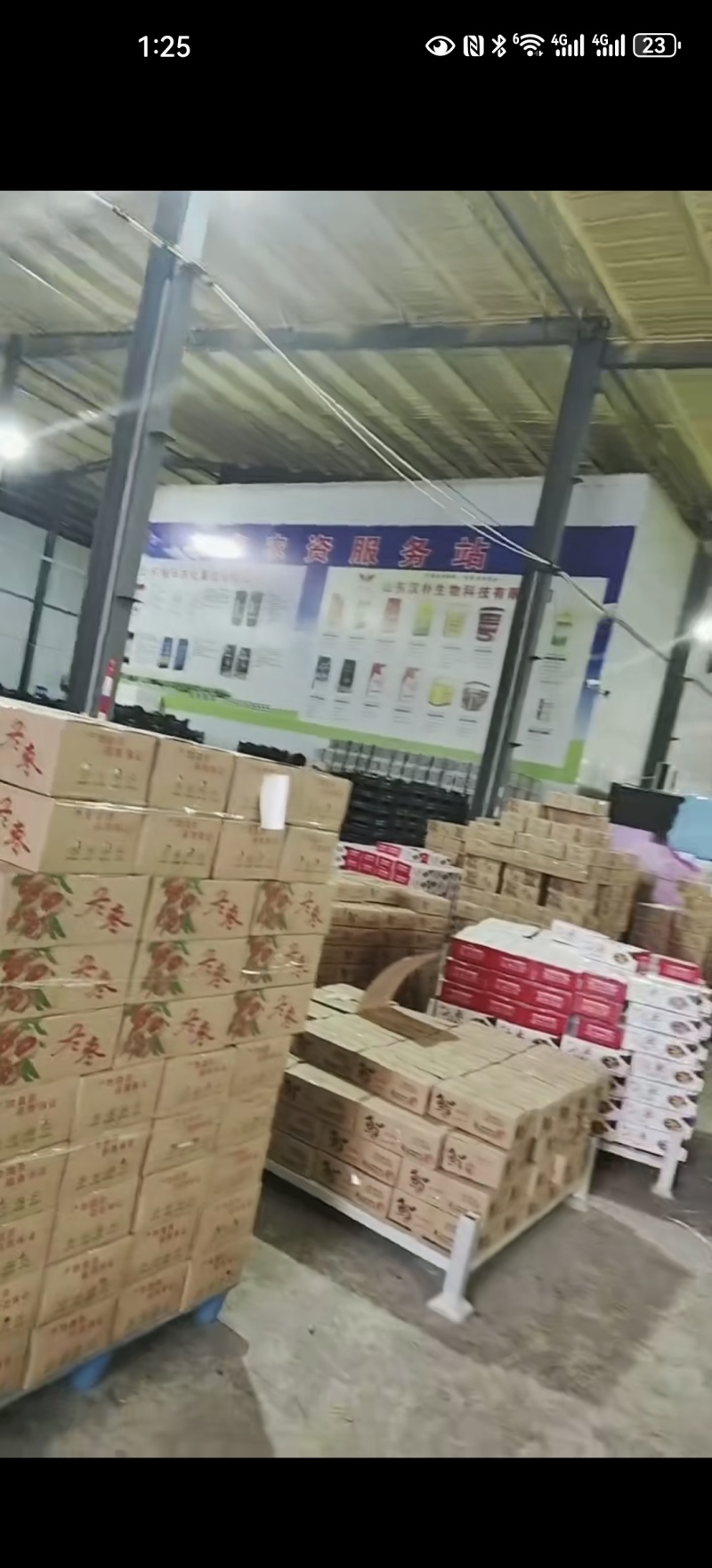 新鲜冬枣，现摘现发，支持各电商平台一件代发