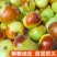 【牛商优选】个头大果核小现摘现发品质保证自产自销