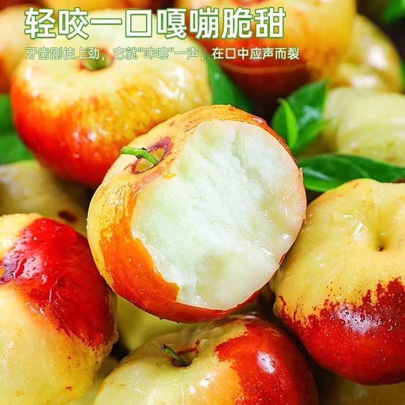【产地直发】周口精品蟠枣一手货源物美价廉原生态种植