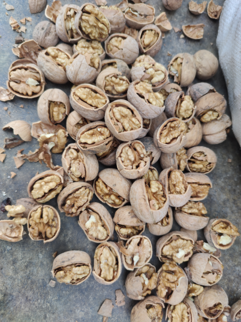 新疆33三三薄皮核桃新疆好评如潮大量上市，品质保障