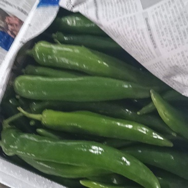 鲜辣椒