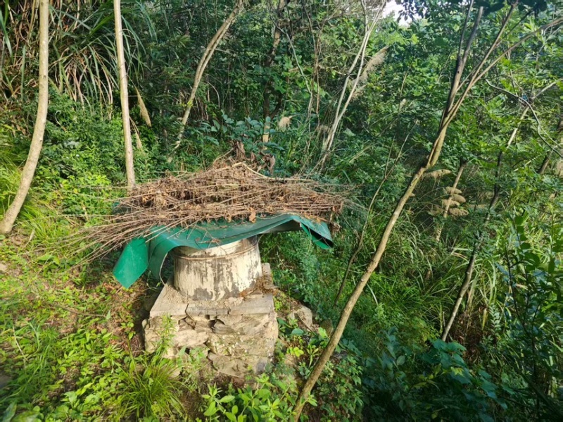蜂蜜土蜂蜜现割现发精品好货一手货源欢迎咨询
