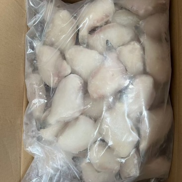 单冻马面鱼，耗儿鱼，小扒皮鱼
