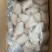 单冻马面鱼，耗儿鱼，小扒皮鱼
