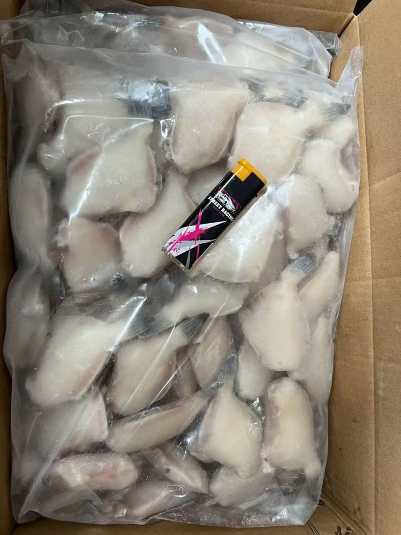 单冻马面鱼，耗儿鱼，小扒皮鱼