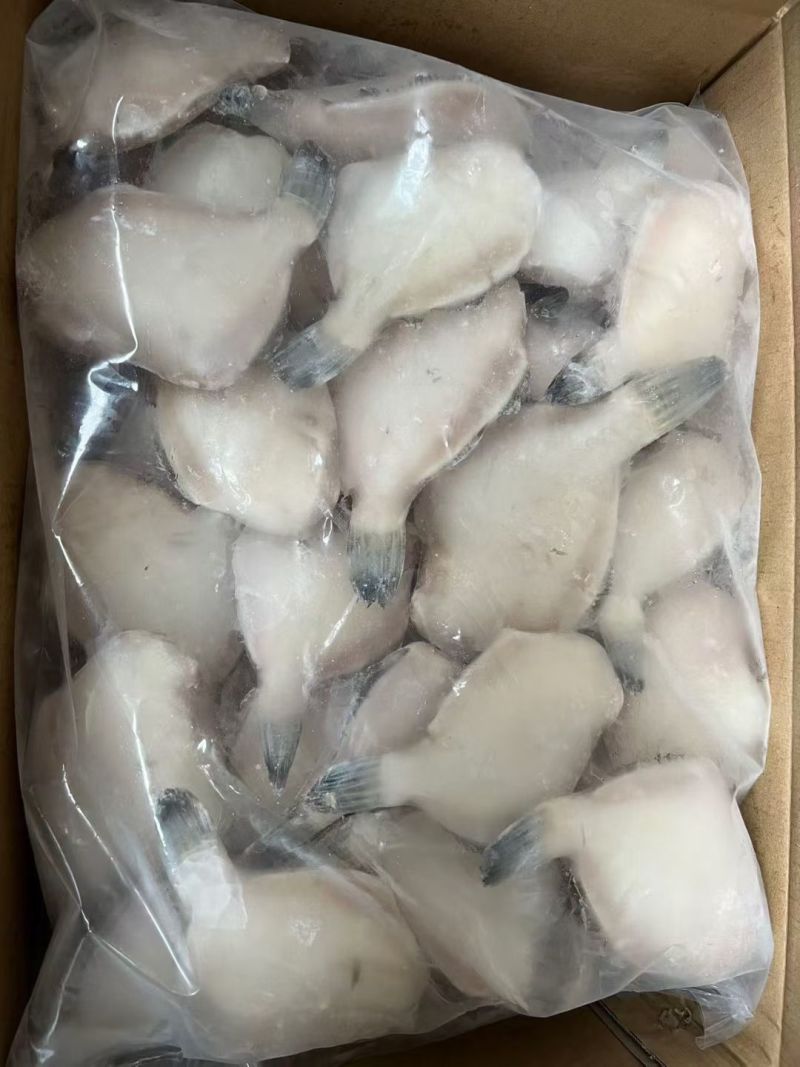 单冻马面鱼，耗儿鱼，小扒皮鱼